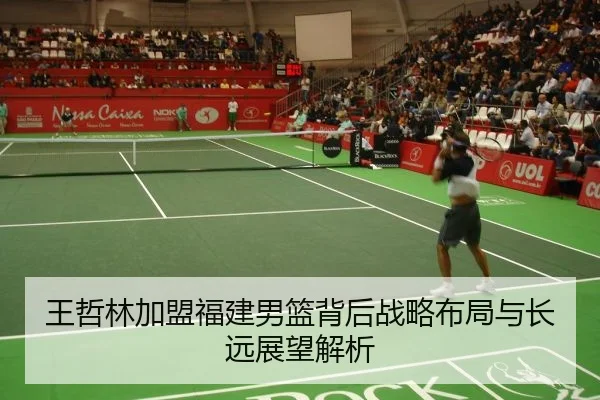 王哲林加盟福建男篮背后战略布局与长远展望解析